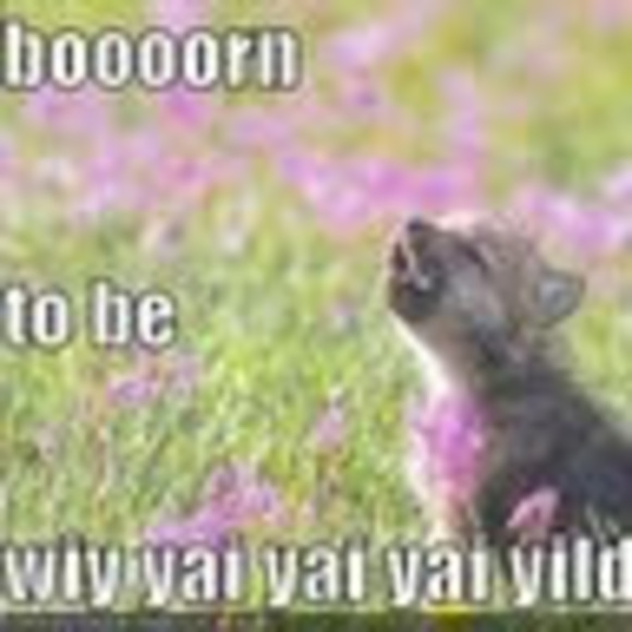 Meet your Posher, Julia - Picture 1 of 1